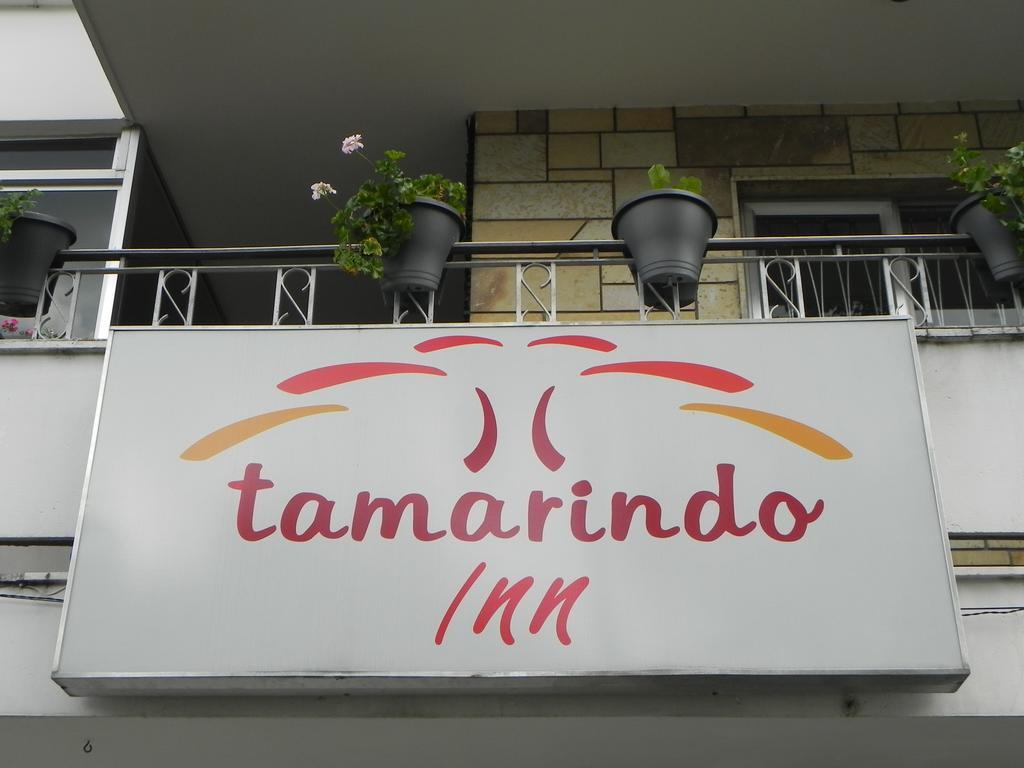 Hostal Tamarindo Inn 麦德林 外观 照片