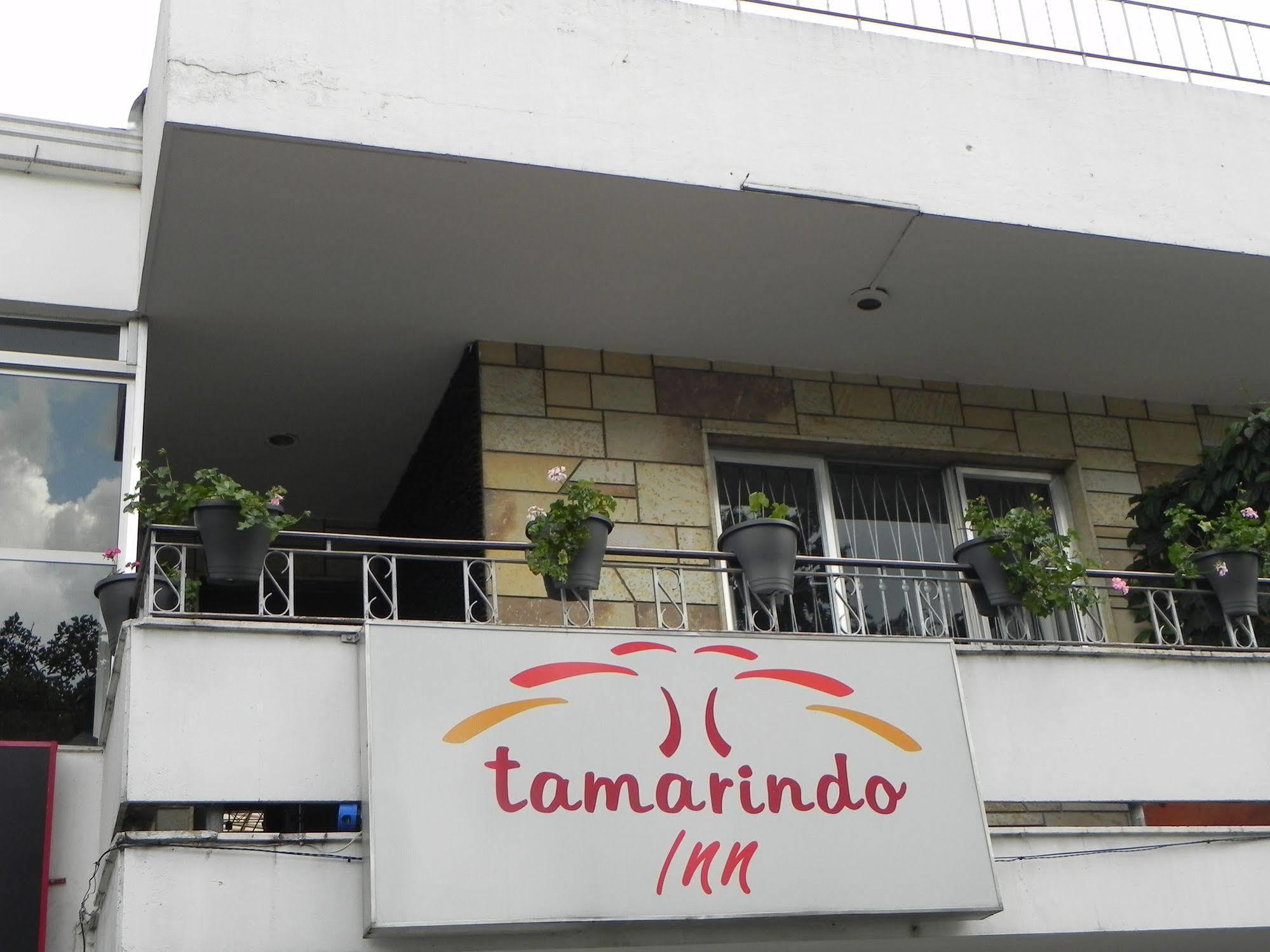 Hostal Tamarindo Inn 麦德林 外观 照片