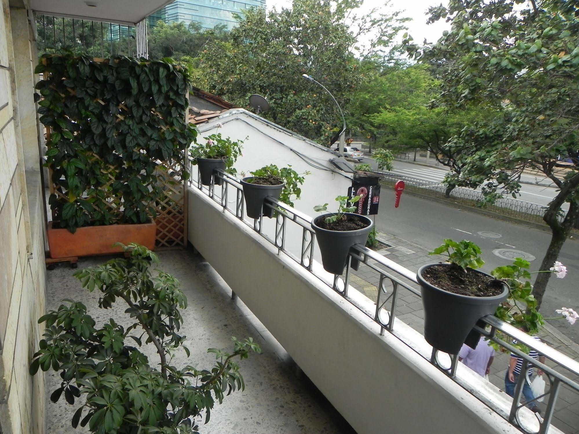 Hostal Tamarindo Inn 麦德林 外观 照片